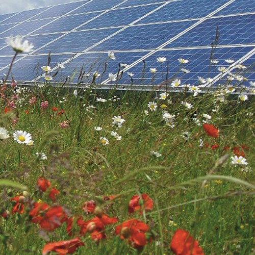 September highlighted campaign: solar feed in tariff changes