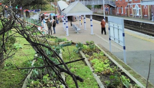 Weekly Community Garden Session -  Wednesday evenings @ St Leonards Station Community Garden (North platform normally)